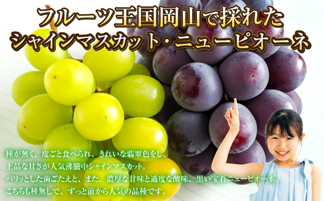 岡山県産 シャインマスカット 晴王＆ニューピオーネ 約500g×各1房 計1kg【2024年8月下旬～10月上旬迄発送予定】