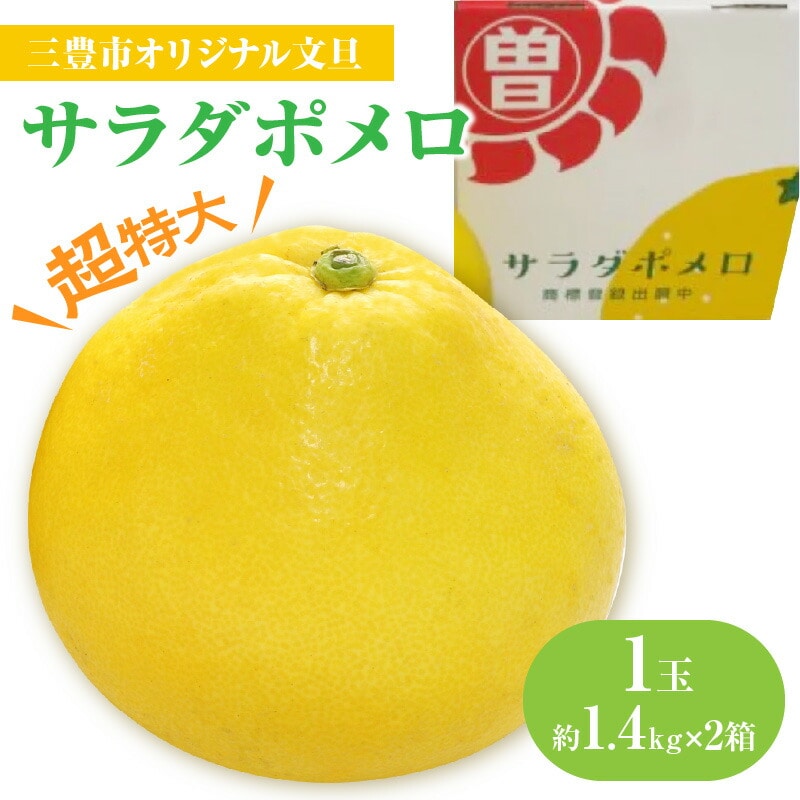 三豊市オリジナル文旦「サラダポメロ」 超特大