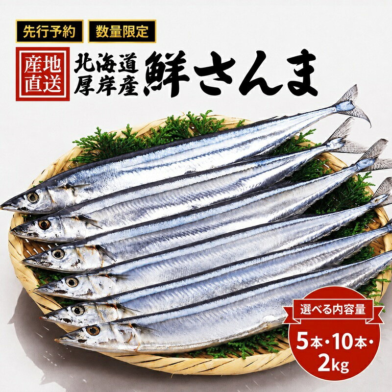 先行予約 産地直送 北海道 厚岸産 刺身用 鮮さんま 2kg（15～20尾） サンマ 秋刀魚 さんま 鮮魚 魚介類 海産 生さんま　【さんま・秋刀魚・魚介類】　お届け：2024年9月20日～11月10日まで