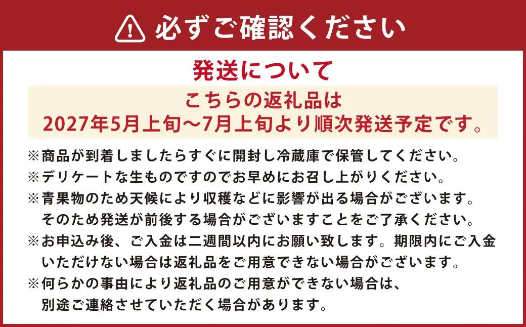 ＜ R8年熊本地震復興支援 ＞熊本産 肥後グリーンメロン 2玉入り【2027年5月上旬～7月上旬迄順次発送予定】 メロン 果物 フルーツ
