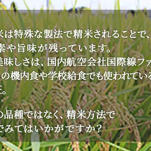 お米 無洗米 静岡県産 JAおおいがわ 金芽米 5kg お米