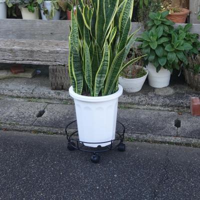 ふるさと納税 三条市 キャスター付鉢のせ台 M 植木鉢台 室内利用可 園芸用品 [株式会社オビタス] 【011S155】 |  | 02