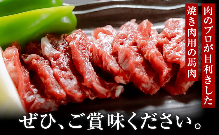 馬肉焼肉用 500g カット済 長洲町L（桜屋）《30日以内に出荷予定（土日祝除く）》熊本県 長洲町 送料無料 肉 馬肉 焼肉