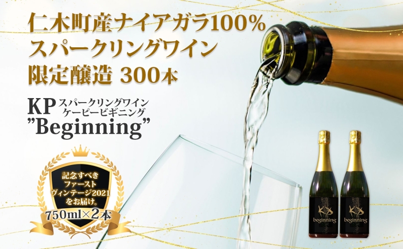 【北海道産ワイン】 限定スパークリングワイン KP”Beginning" 750ml×2本 仁木町産ナイアガラ100%使用 ワイン 白 辛口 スパークリング