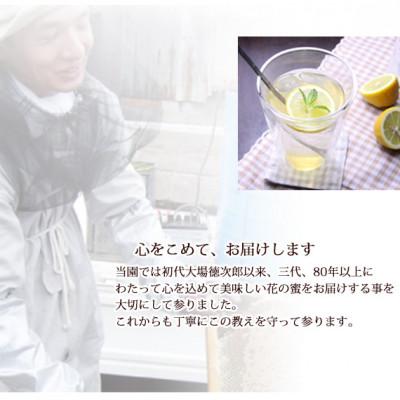 ふるさと納税 富山市 富山県産レンゲ蜂蜜500g×1本・トチの木蜂蜜500g×1本　セット |  | 03
