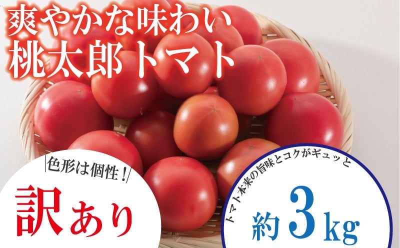 
            【訳あり】 【選べるお届け月】 トマト 約3kg 桃太郎 先行予約  甘い 野菜 やさい 国産 産地直送 数量限定 旬 桃太郎トマト 生野菜 新鮮 ソース 調味料 ケチャップ サラダ 美容 新鮮 健康 お取り寄せ グルメ おすすめ 人気 徳島県 小松島市
          
