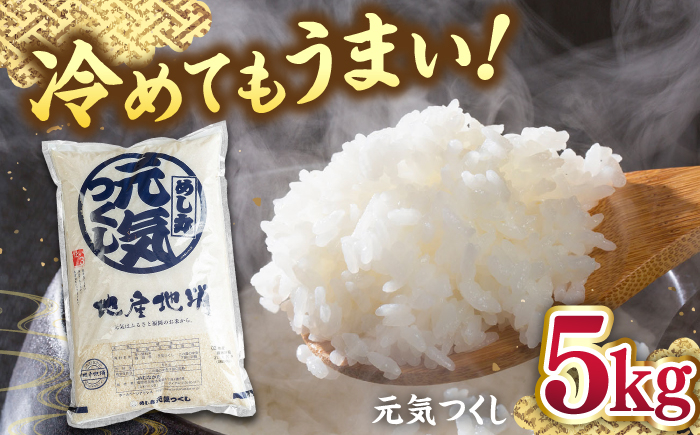 
            福岡産ブランド 米 元気つくし 5kg ▼ 米 こめ お米 福岡 九州 白米 精米 桂川町/南国フルーツ株式会社[ADBW026]
          