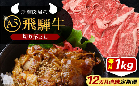 【12回定期便】 飛騨牛 切り落とし肉 A5ランク 500g×2パック (1kg) 和牛 国産 霜降り 恵那市 / 岩島屋 [AUAJ035]
