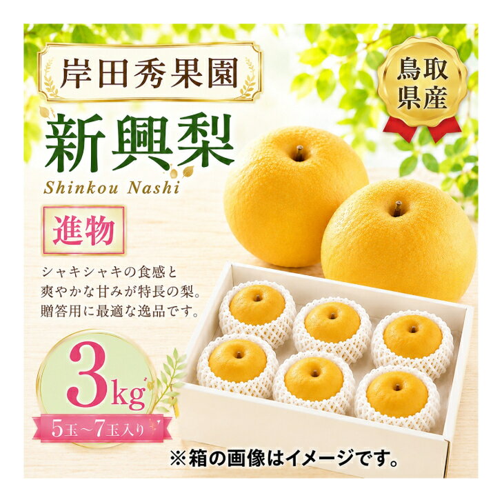 【ふるさと納税】 【予約受付中】 岸田秀果園 新興 梨 進物用 3kg やまのおかげ屋 鳥取県 米子市