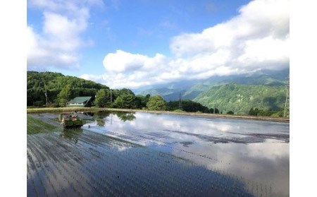 長野県小谷村百姓七人衆のゆめしなの　５kg