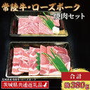 【ふるさと納税】【常陸牛・ローズポーク焼肉セット(2~3人前)】 常陸牛 カルビ 約180g ローズポーク 約200g (ロース100g ばら100g) （茨城県共通返礼品・茨城県産）ブランド牛 茨城 国産 黒毛和牛 霜降り 牛肉 ブランド豚 豚肉 冷凍 焼肉