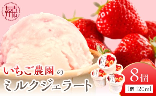 いちごミルクジェラート《 ジェラート アイス カップ いちご ミルク スイーツ 》【2501H09703】