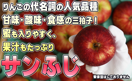 りんごサンふじ葉取らず訳あり青森県産りんご【約3kg】【2月発送】
