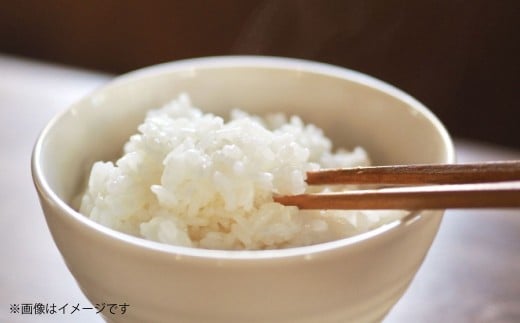 【令和7年度産】 熊本県産のお米5kg くまさんの輝き 精米 単一原料米 お米 米 【2025年11月上旬発送開始】