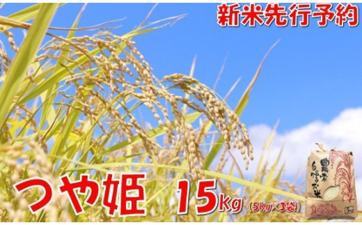 【令和８年産米 先行予約】つや姫15kg　佐藤