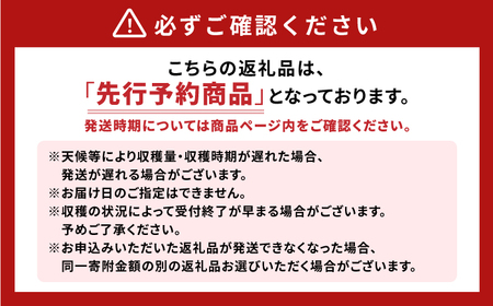 【2024年6月下旬～順次発送】 大村マンゴー 約800g (2L×2個) / 大村市 / 県央リサイクル開発[ACBC001] アップルマンゴー まんごー 南国フルーツ アップルマンゴー まんごー 