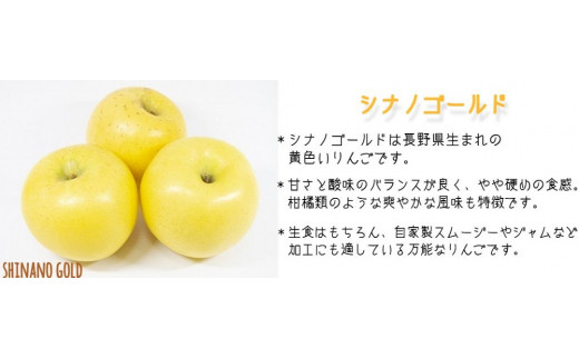 りんご シナノゴールド 家庭用 3kg ファームトヤ 沖縄県への配送不可 2025年11月中旬頃から2025年12月下旬頃まで順次発送予定 令和7年度収穫分 信州 果物 フルーツ リンゴ 林檎 長野 