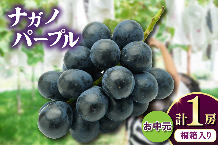 
                  お中元桐箱入りナガノパープル1房　県内共通返礼品:かすみがうら市産 (BR170)
                