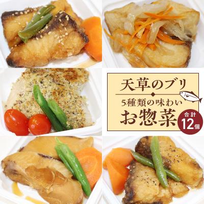 ふるさと納税 天草市 ブリの惣菜5種類12食セット_S010-064