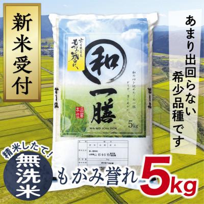 ふるさと納税 最上町 【令和8年産先行受付】山形県産もがみ誉れ5kg(無洗米)