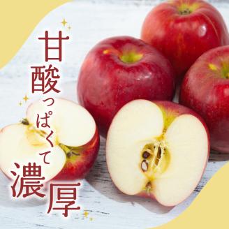 【2024年11月中旬発送】 りんご 5kg 紅玉 青森