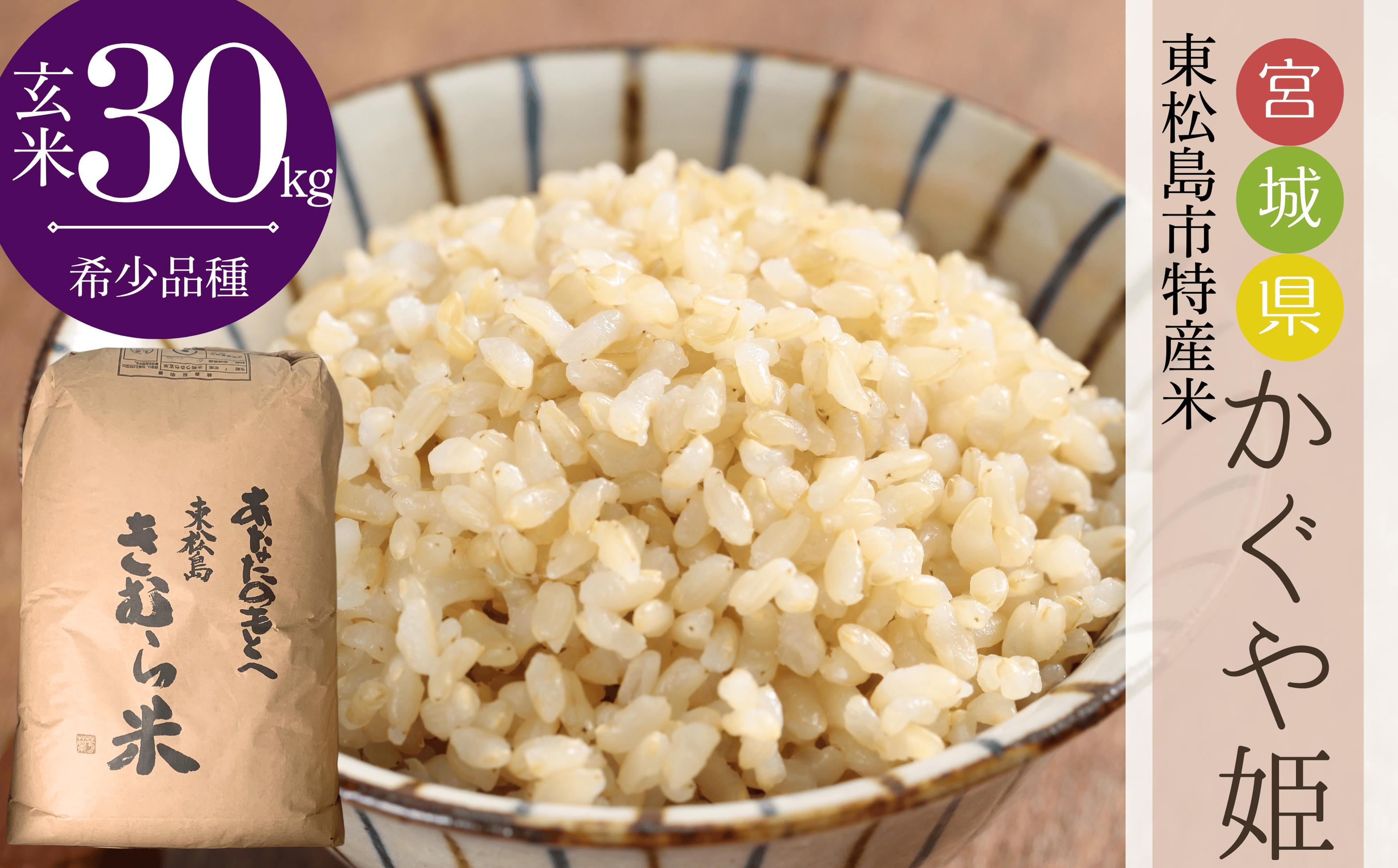 
                  【令和7年産】宮城県産 超稀少品種 かぐや姫 玄米 30kg × 1袋 宮城県 東松島市 天授のお米 米 こめ 宮城県 東松島市 オンラインワンストップ 対応 自治体マイページ
                