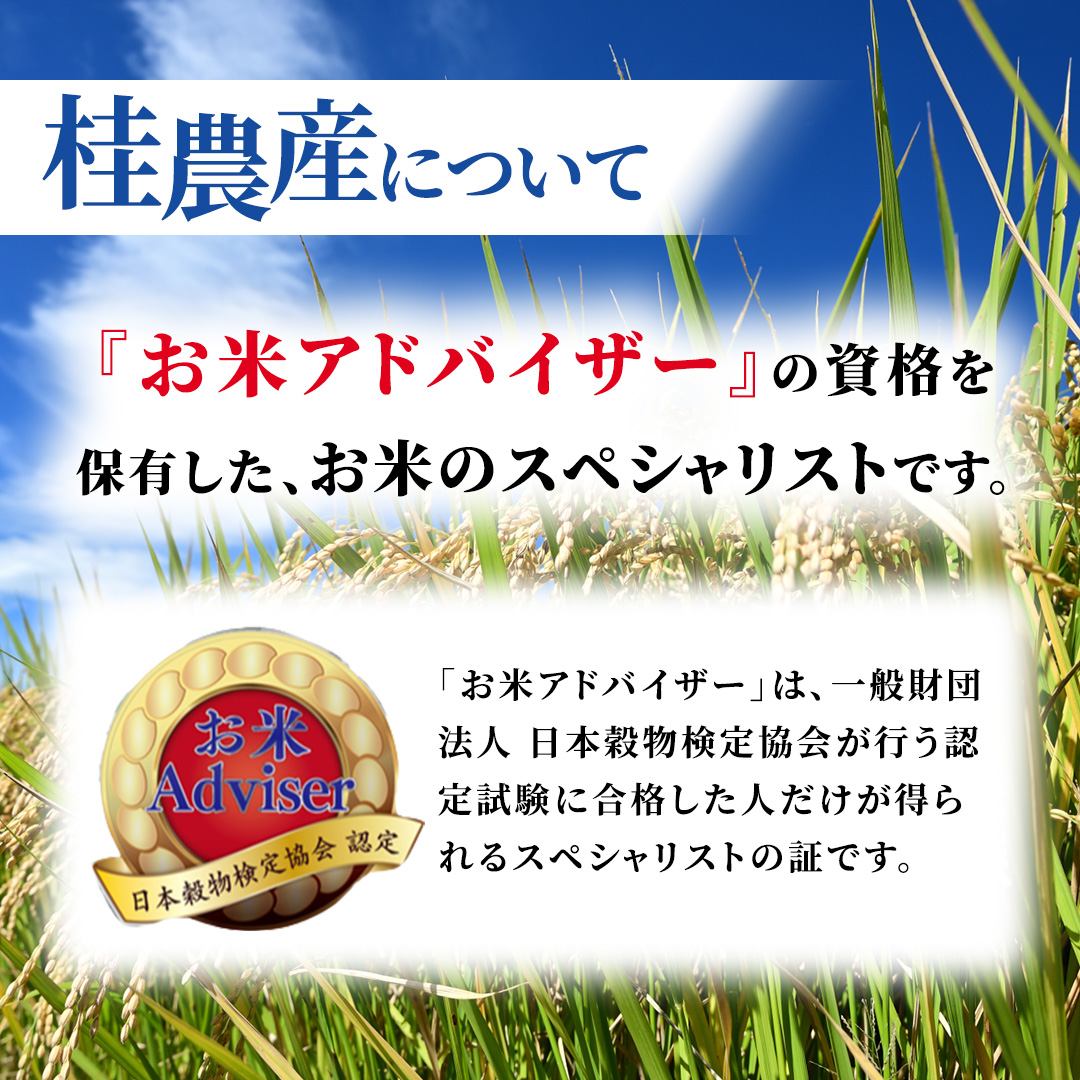 ≪新米≫ 【 6ヵ月定期便 】つきあかり 10kg ×6回 令和8年産 精米 産地直送 茨城県 城里町 新米 精白米 米 ご飯 こしひかり 米 白米 精米 単一原料米  (AX077)