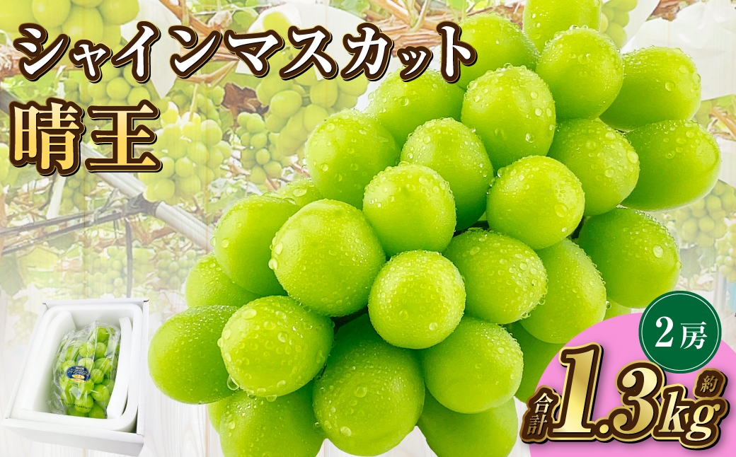 
            岡山県産 シャインマスカット 晴王 2房 約1.3kg【2025年9月上旬-10月下旬 発送予定】｜種無し 皮ごと食べる 旬の美味しさ フレッシュ 先行予約 ハレノフルーツ
          
