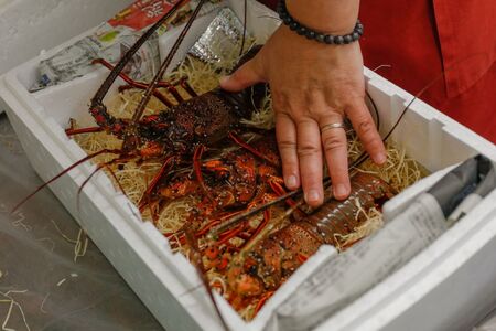 【数量限定】産地直送！活き伊勢えび 約400g×2尾 ※北海道・東北地方・沖縄・離島への配送不可（2025年10月上旬より順次発送） 【 伊勢海老 伊勢えび 伊勢エビ えび エビ 海老 】 IKTJ0