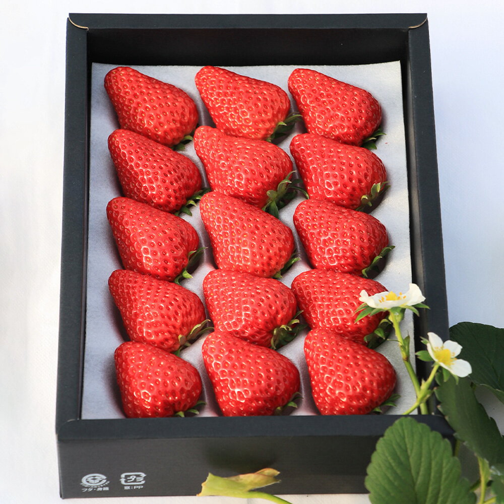 【ふるさと納税】【第2回全国いちご選手権にて全国トップ10入り】岡山県 最大級のいちご農園 贈答用 美作苺 〈選べる〉 約400g または 約800g いちご イチゴ 苺 くだもの 果物 フルーツ おやつ 冷蔵 送料無料【2026年1月上旬～3月下旬発送予定】