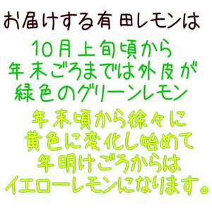 紀州和歌山 有田レモン 約2kg［農家直送］［先行予約］［MS67］