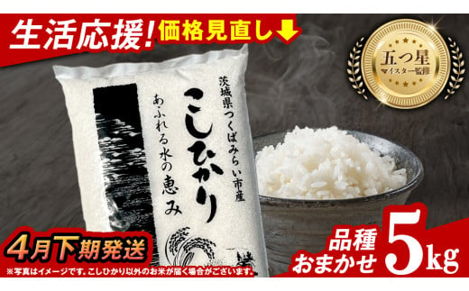 【 4月下期発送 / 数量限定 】茨城県産 精米 5kg (品種おまかせ） 令和6年産 こしひかり 米 コメ こめ 単一米 限定 茨城県産 国産 美味しい お米 おこめ おコメ