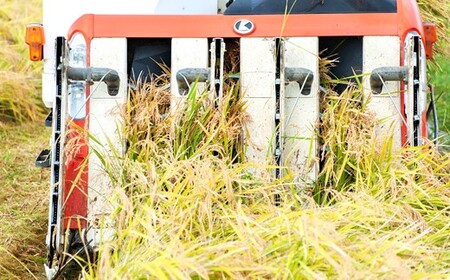 かめまる農園の「ひのひかり」5kg | 米 こめ お米 おこめ 白米 精米 ひのひかり 熊本県産 熊本県 玉名市