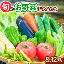 【ふるさと納税】 野菜 セット 季節の野菜 8～12品 大容量 産地直送 お試し 新鮮