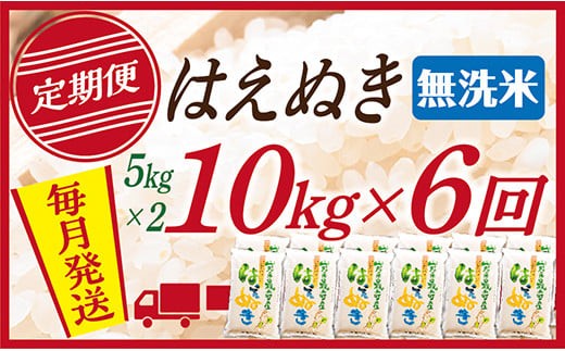 【定期便】【無洗米】令和7年産 山形県産 はえぬき 10kg (5kg×2)  6回配送【初回R8年1月発送】