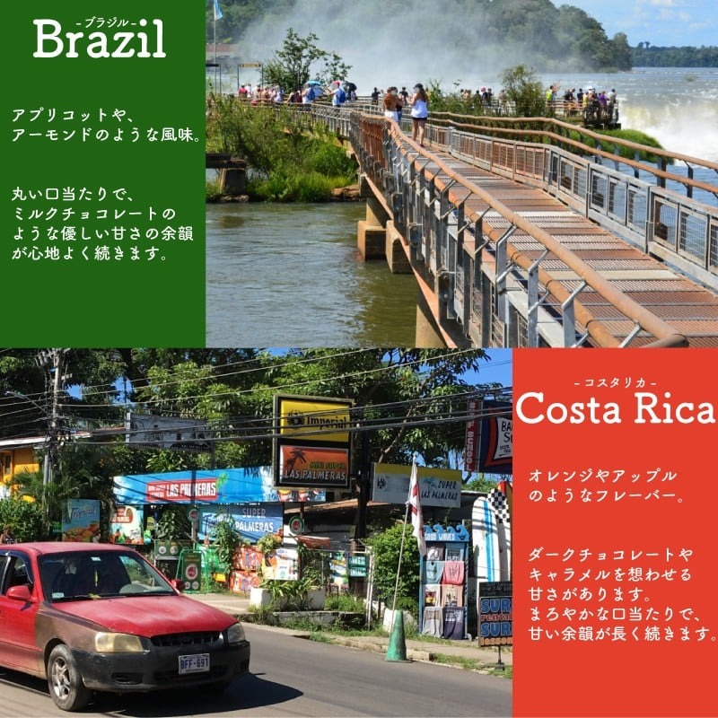 G-99　プレミアムギフト ドリップパック 8種 40パック 飲み比べ