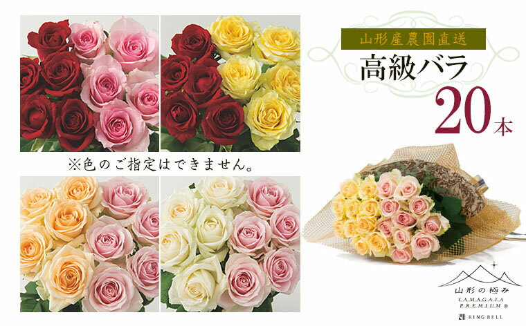 【ふるさと納税】山形産農園直送高級バラ 20本 FZ26-743