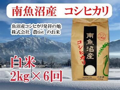 【定期便 南魚沼産】コシヒカリ 白米2kg×6回