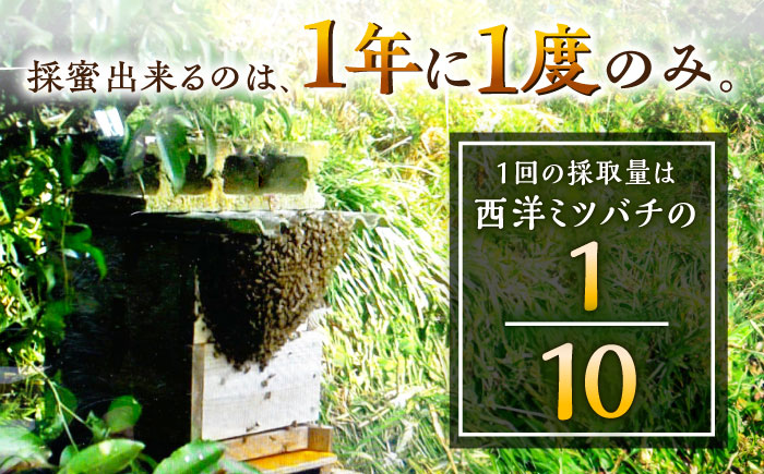 【コクと味わい深い甘み】 日本蜜蜂 百花 はちみつ 200g 純粋蜂蜜 /永尾 忠則 [UAS003] 蜂蜜 ハチミツ 日本ミツバチ