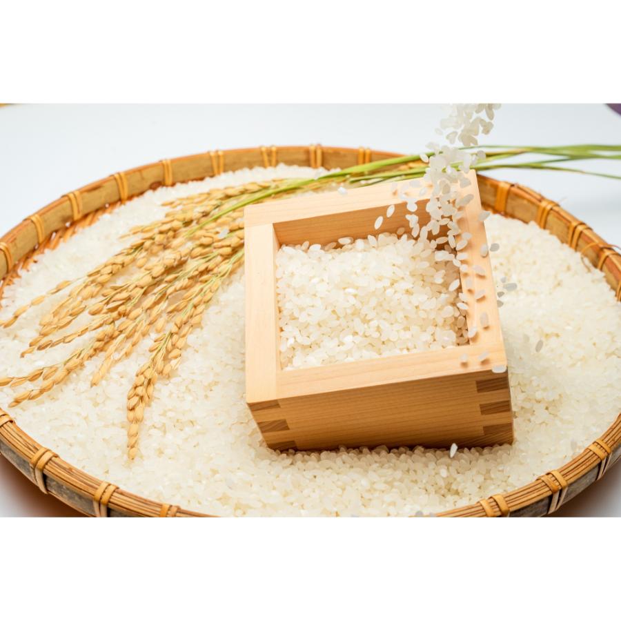 ＜丸光伊藤興農園＞芦別市産ゆきさやか300g×3袋