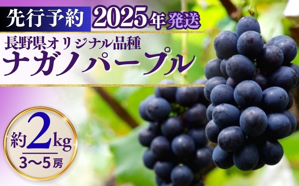 
            ナガノパープル（約2kg）｜ 果物 フルーツ 黒ぶどう 葡萄 ブドウ 種無し 種なし 皮ごと 千曲市 長野県 信州
          