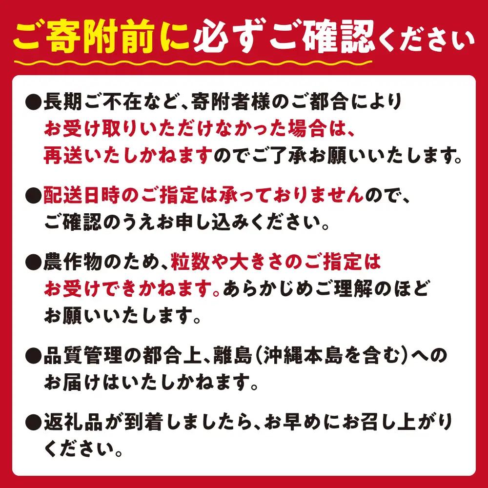 【2027年度産先行受付】当別町産べんけべつのいちご（けんたろう）4パック｜イチゴ いちご べんけべつのいちご 道産子イチゴ
