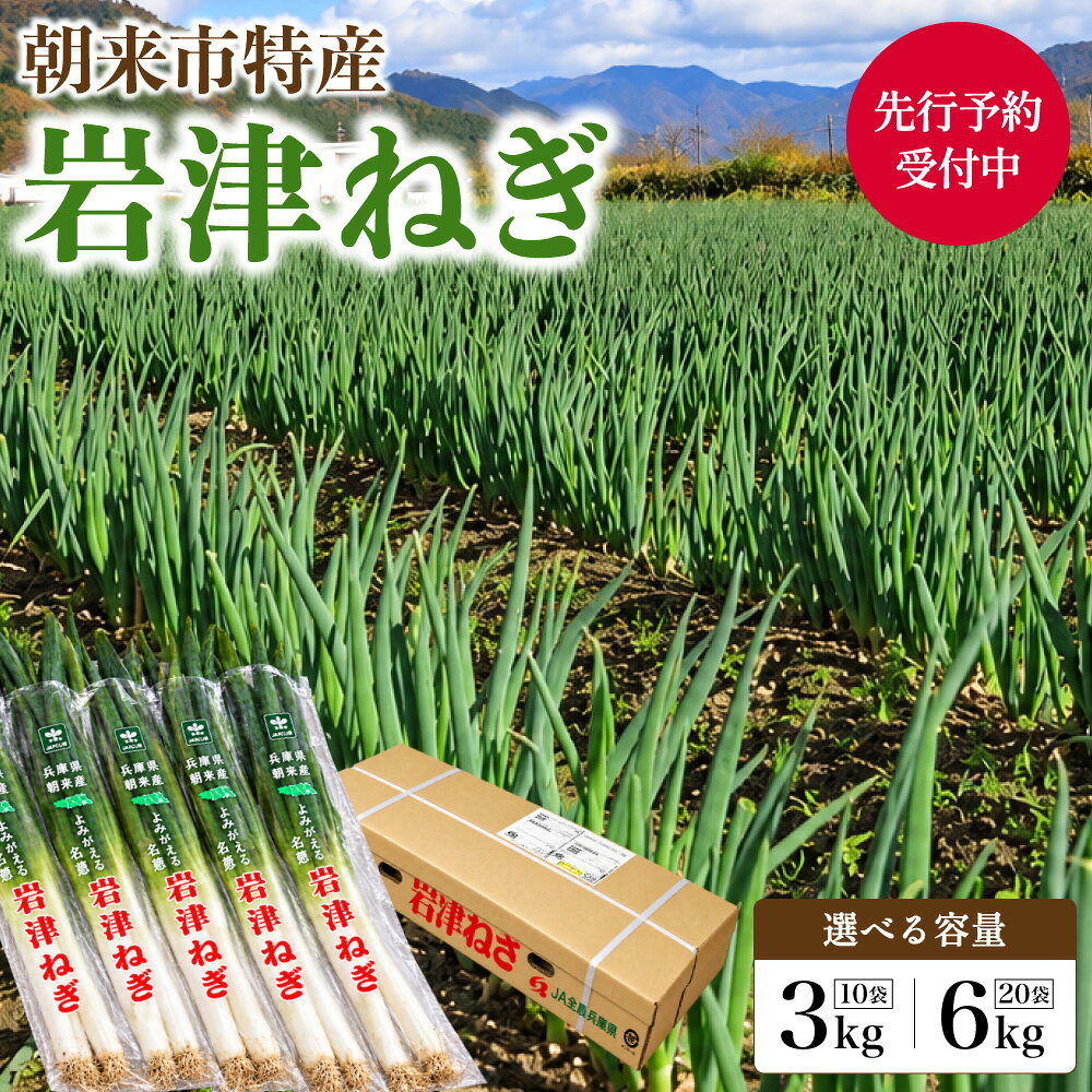 【ふるさと納税】【先行予約】JAたじま厳選！ 朝来市特産 岩津ねぎ 3kg・6kg 【 11月23日以降順次発送】 兵庫県 朝来市 ねぎ ネギ 葱 長ねぎ 長ネギ 長葱 ブランドねぎ ブランドネギ ブランド葱 期間限定 数量限定 野菜 旬の野菜 冬野菜 たじま農協 たじまんま AS49BD24
