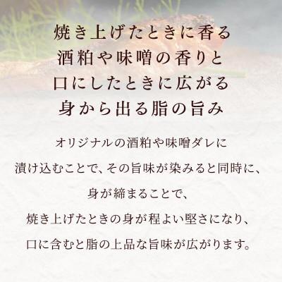 ふるさと納税 さくら市 【国産高級サーモン】【焼サーモン食べ比べセット 味噌・粕・西京】 |  | 01