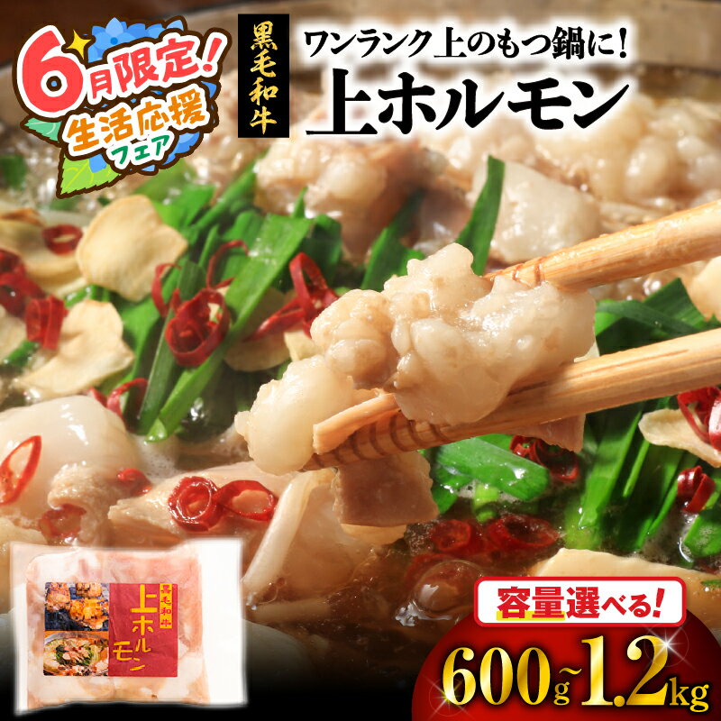 【ふるさと納税】【期間限定 生活応援】＜容量選べる＞ ワンランク上 の もつ鍋 に！ 上ホルモン 600g or 1.2kg 肉 牛 もつ ホルモン 牛肉 黒毛和牛 焼肉 鍋 おかず つまみ 小腸 串焼き 小分け パック 夕食 国産 カミチク 鹿児島 鹿児島市 おすすめ ランキング プレゼント