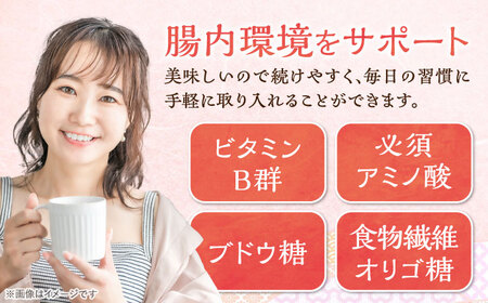 【6回定期便】 純米 あま酒 500ml 10本 / 恵那市 / 岩村醸造 [AUAK038] あま酒