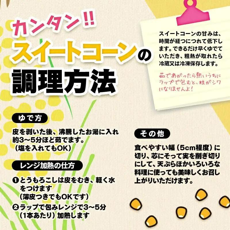 【先行予約】初夏の味覚！鮮度が命 村田さん家の朝どれスイートコーン『ドルチェドリーム』生産者直送2027年発送＜63-2a＞