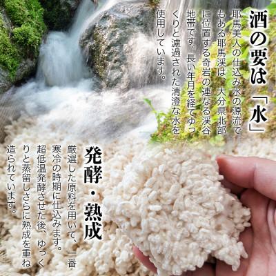 ふるさと納税 中津市 麦焼酎　耶馬美人25度　 1,800ml×2 |  | 02