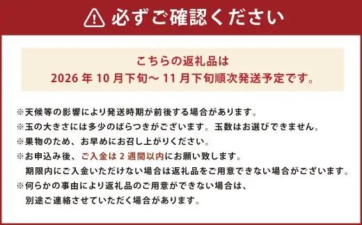 福岡県産ブランド柿・秋王 約3kg （8-12玉） 柿 カキ かき 果物 くだもの フルーツ 冷蔵 国産 岡垣町 【2026年10月下旬～11月下旬発送予定】