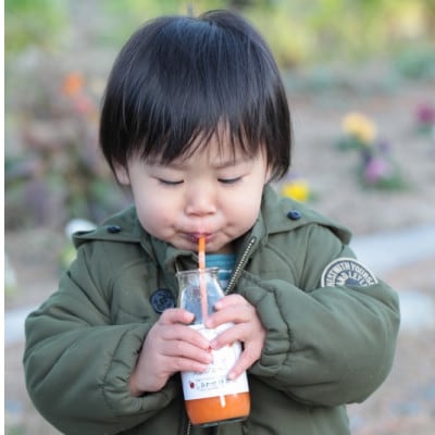しあわせニンジンジュース(有機ニンジン・ミックスジュース)180ml×30本【配送不可地域:離島・沖縄県】【1666376】